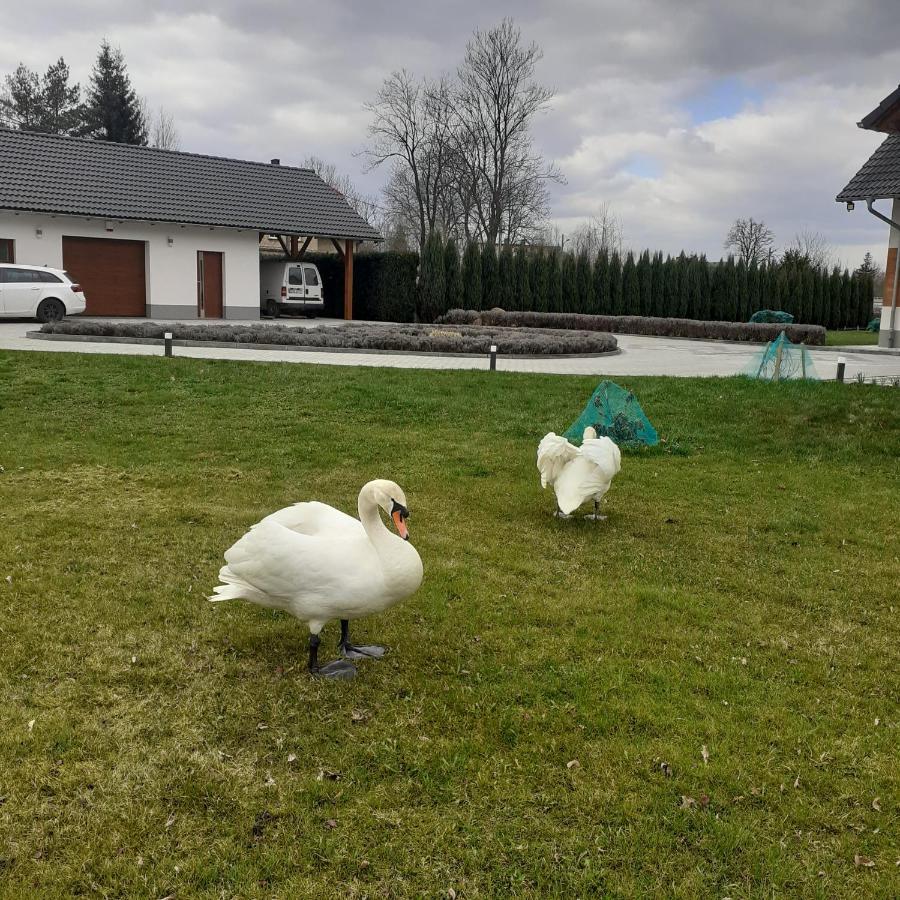 Agroturystyka Aura Kostrzyca Eksteriør billede